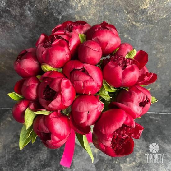 Букет из 15 красных пионов 