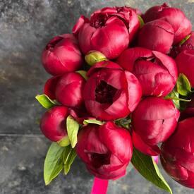 Букет из 15 красных пионов 