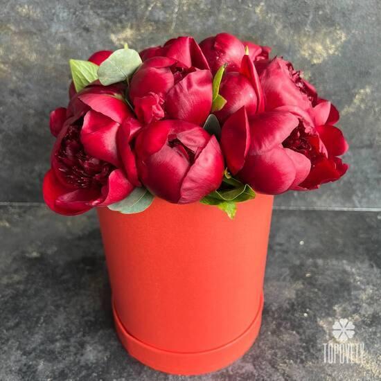 Композиция из 11 бордовых пионов в коробке