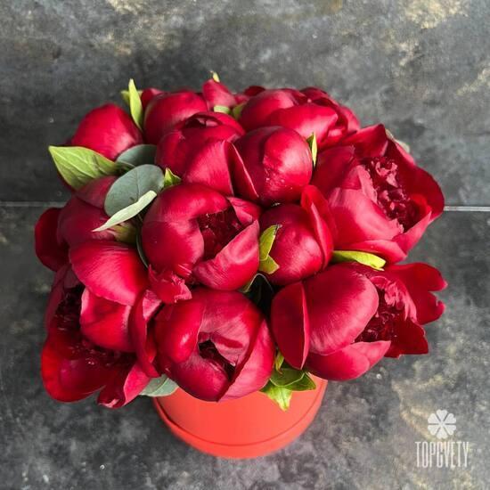 Композиция из 11 бордовых пионов в коробке
