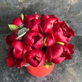 Композиция из 11 бордовых пионов в коробке