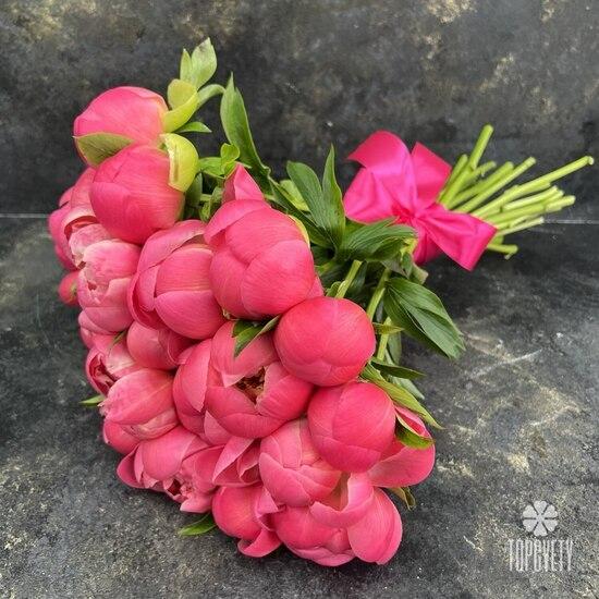 Букет из 21 розового пиона