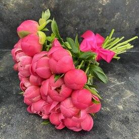 Букет из 21 розового пиона