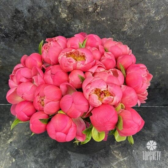 Букет из 21 розового пиона