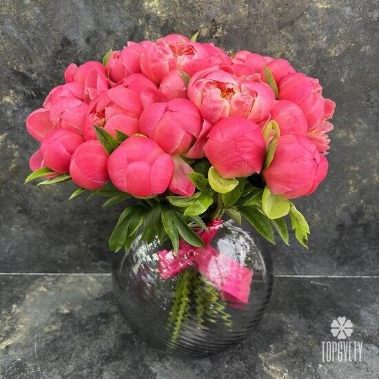 Букет из 21 розового пиона