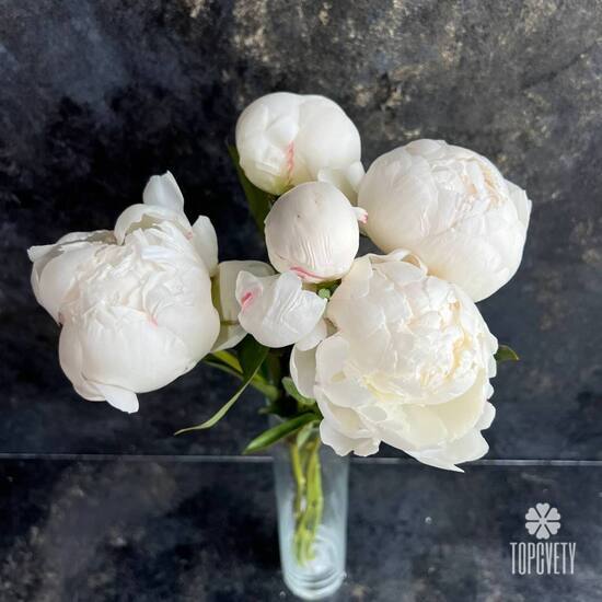 Букет из 5 белых пионов