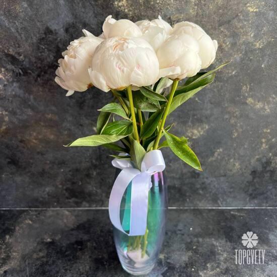 Букет из 7 белых пионов