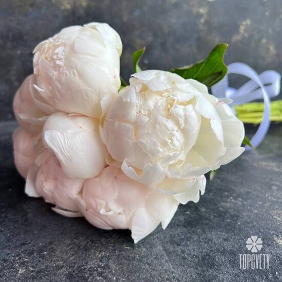 Букет из 7 белых пионов