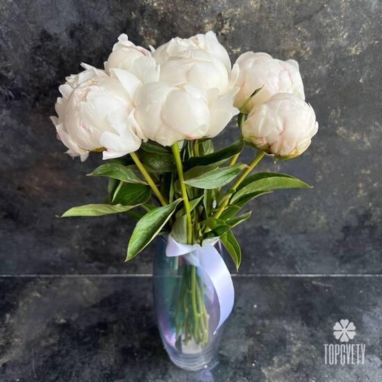 Букет из 9 белых пионов