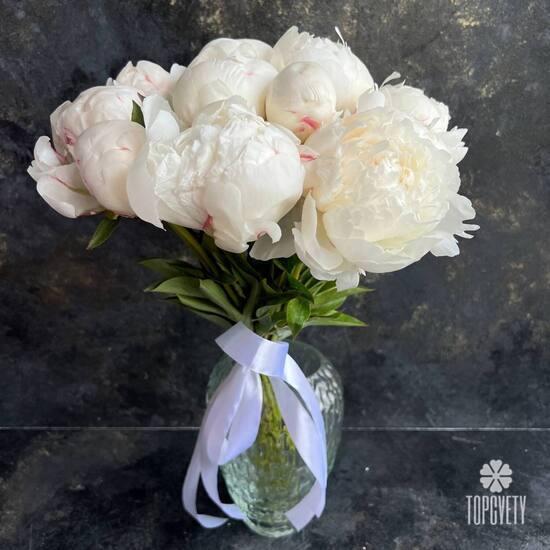 Букет из 9 белых пионов