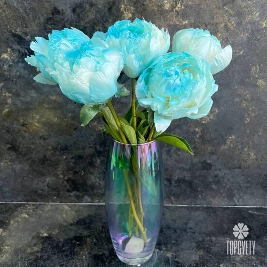Букет из 5 голубых пионов