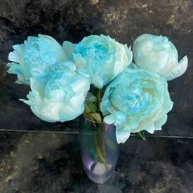 Букет из 5 голубых пионов