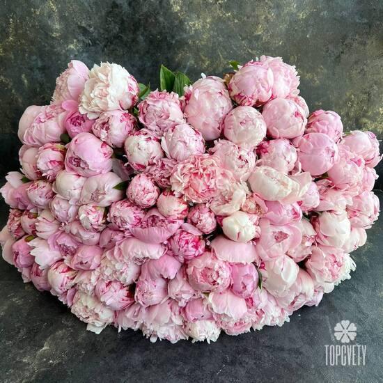 Букет из 101 пиона 