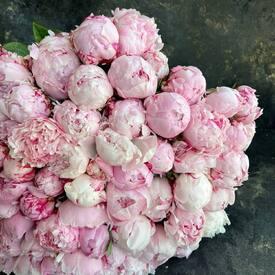 Букет из 101 пиона 