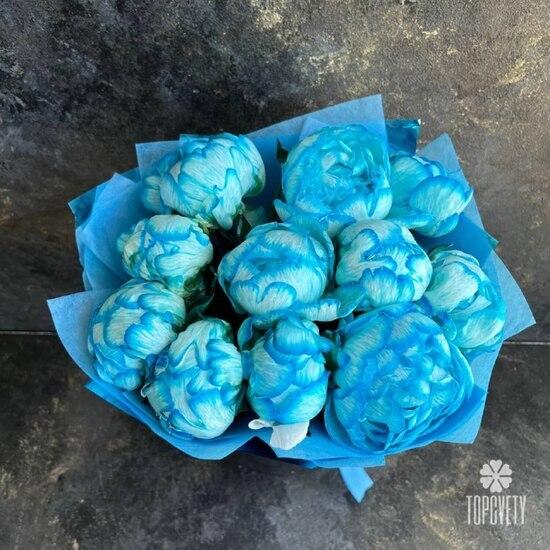 Букет из 11 синих пионов