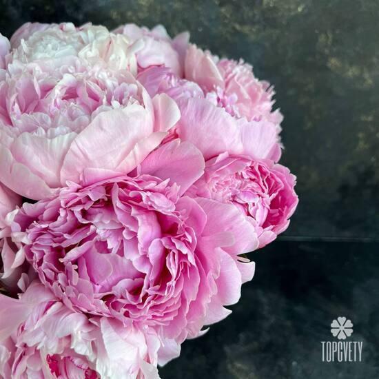 Букет из 35 розовых пионов Сара Бернар в коробке