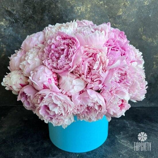 Букет из 35 розовых пионов Сара Бернар в коробке