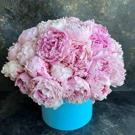 Букет из 35 розовых пионов Сара Бернар в коробке