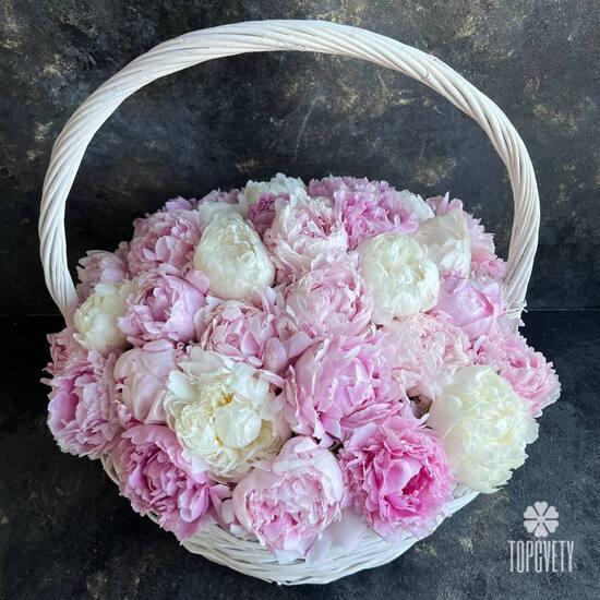 Композиция  из 35 розовых и белых пионов в корзине