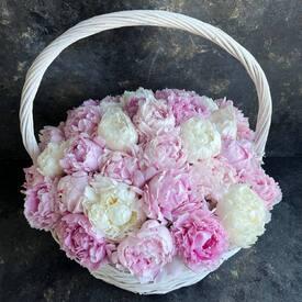 Композиция  из 35 розовых и белых пионов в корзине