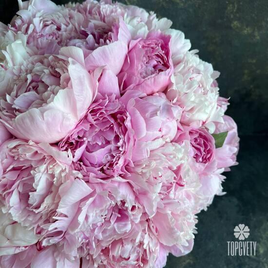 Композиция  из 35 розовых и белых пионов в корзине