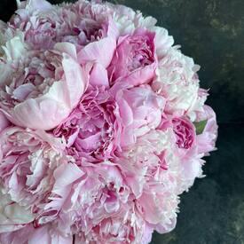 Композиция  из 35 розовых и белых пионов в корзине