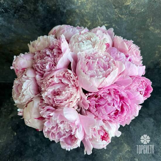 Букет из 15 розовых пионов Сара Бернар