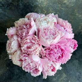 Букет из 15 розовых пионов Сара Бернар