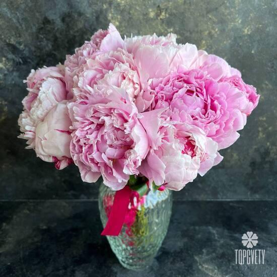 Букет из 15 розовых пионов Сара Бернар