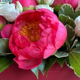 Композиция из 7 коралловых пионов в ящике