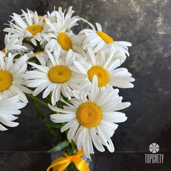 Букет из 11 ромашек