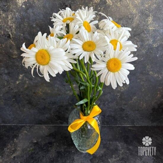 Букет из 11 ромашек