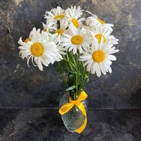 Букет из 11 ромашек