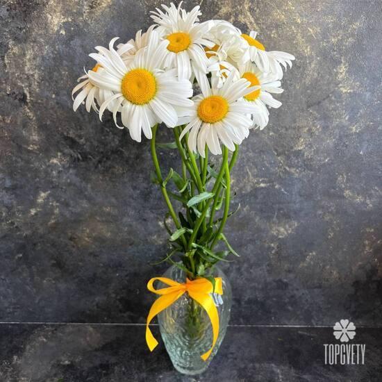 Букет из 9 ромашек