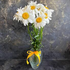 Букет из 9 ромашек