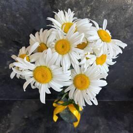 Букет из 9 ромашек