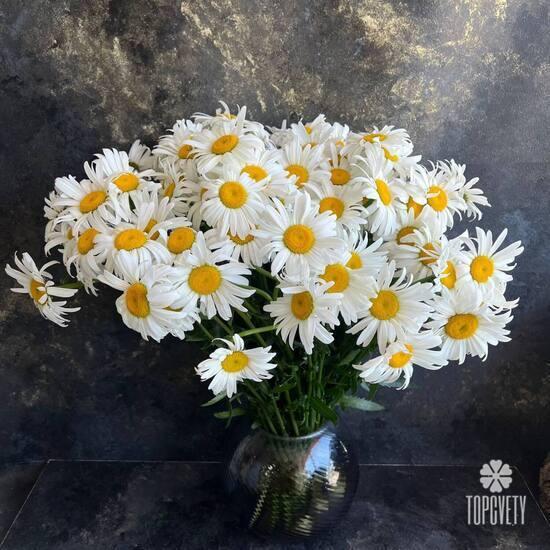 Букет из 45 ромашек