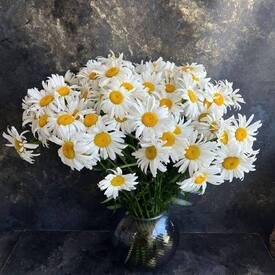 Букет из 45 ромашек
