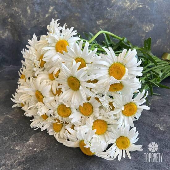 Букет из 45 ромашек