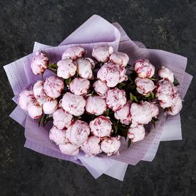 Букет из 31 розового пиона