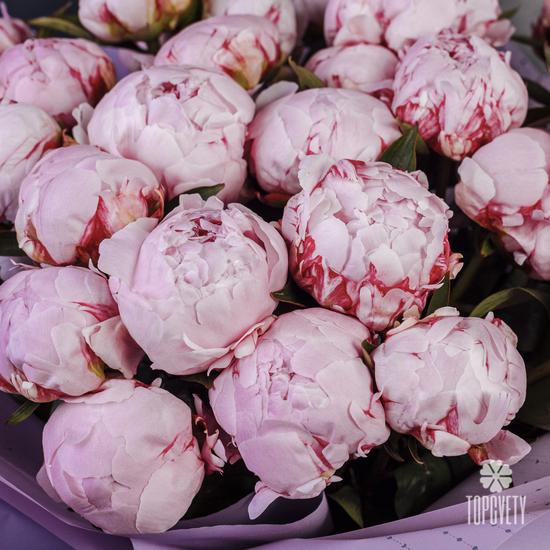 Букет из 31 розового пиона