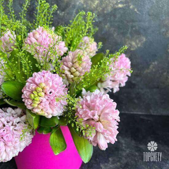 Букет из  13 гиацинтов в коробке