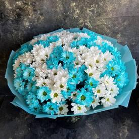 Букет из 25 белых и голубых кустовых хризантем