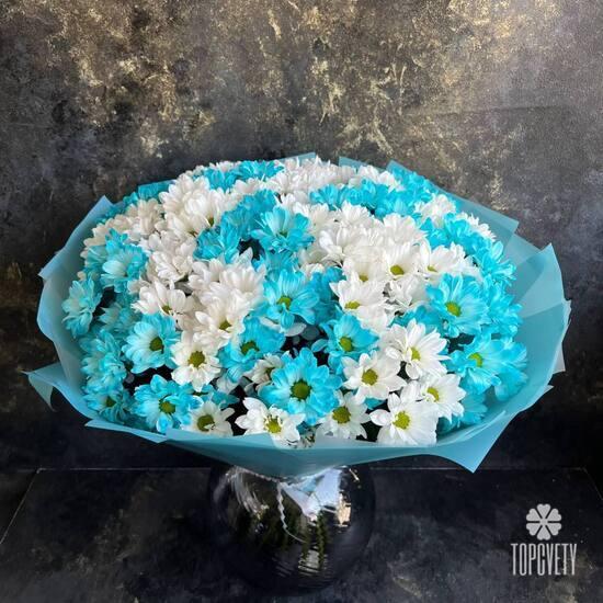 Букет из 25 белых и голубых кустовых хризантем