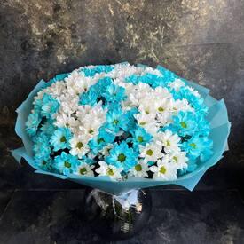 Букет из 25 белых и голубых кустовых хризантем
