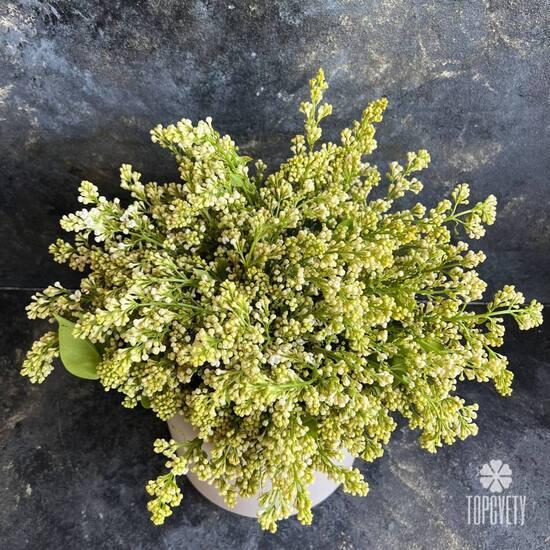 Букет из белой сирени в коробке