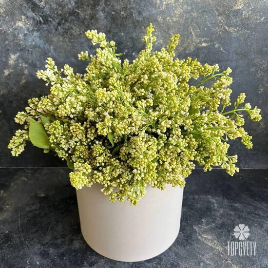 Букет из белой сирени в коробке