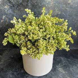 Букет из белой сирени в коробке