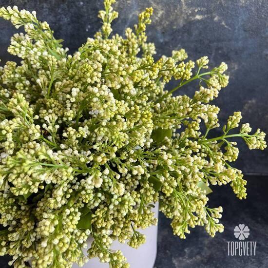 Букет из белой сирени в коробке