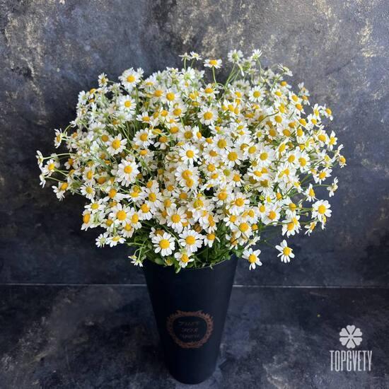 Композиция из 25 ромашек танацетум в коробке 